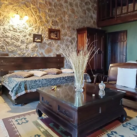 Guest house Ξενώνας Λίκνο Synikia Mesi Trikalon