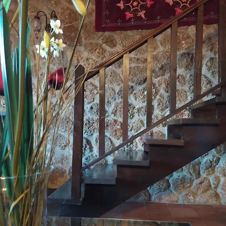 Pensionat λίκνο