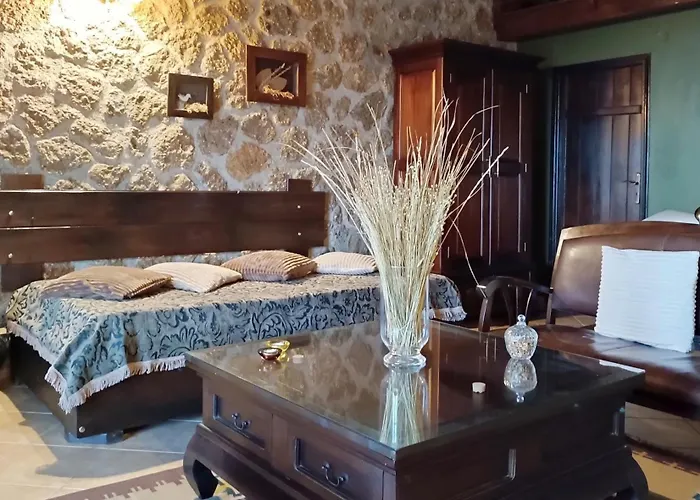 Penzion λίκνο Synikia Mesi Trikalon